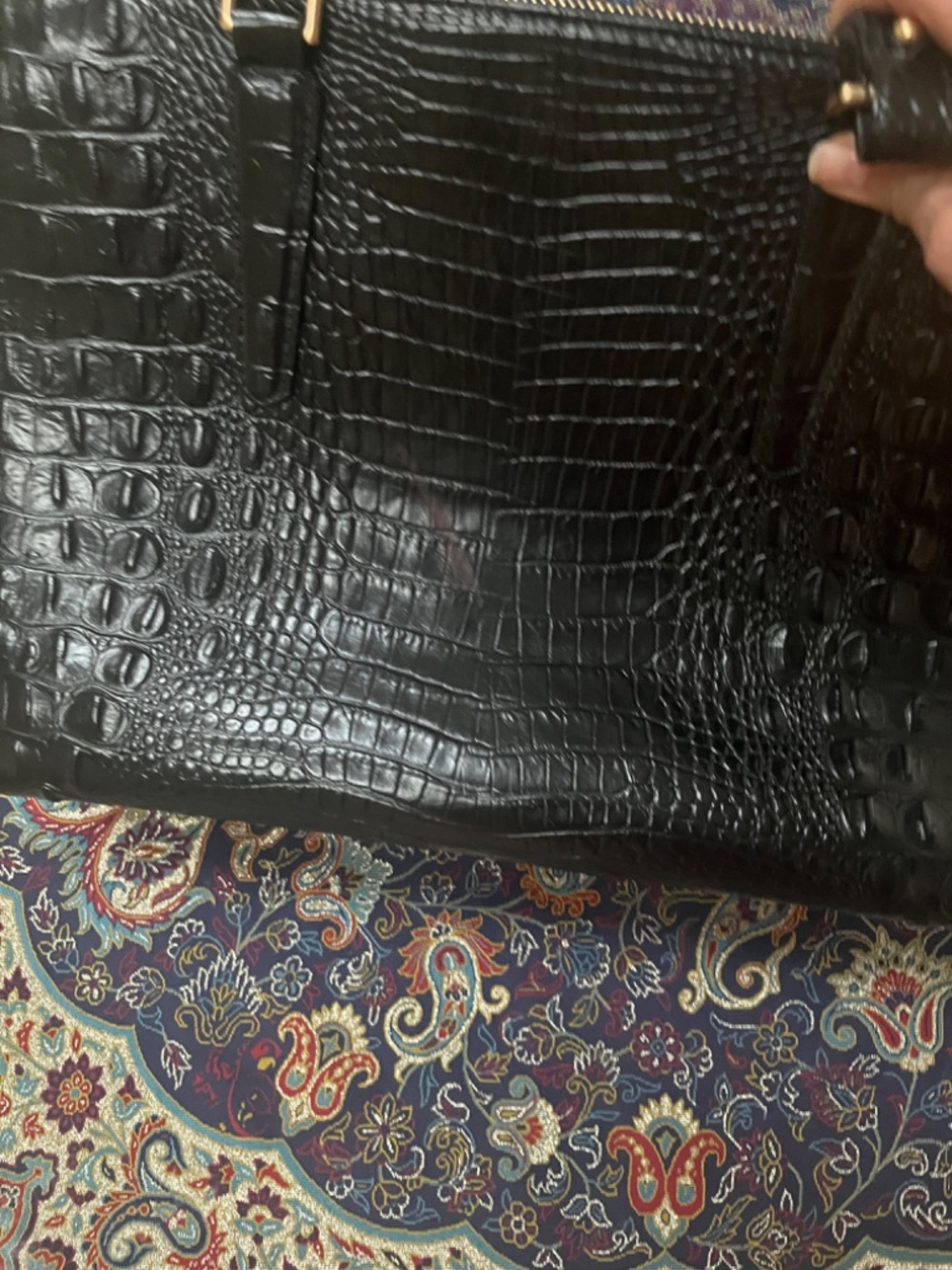 Brahmin - Picture 4 of 4